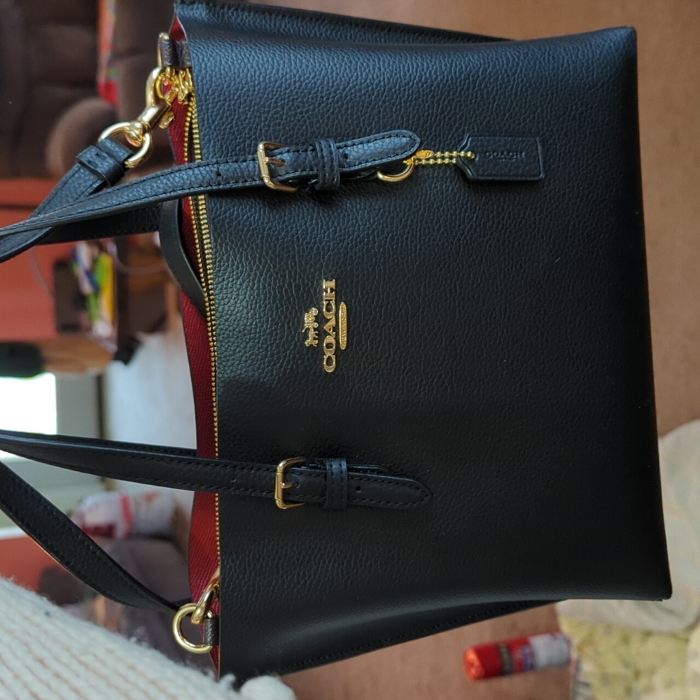 Coach Mollie leather convertible bag